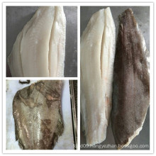 Arctic Ocean Southern Flounder Fish Fillet